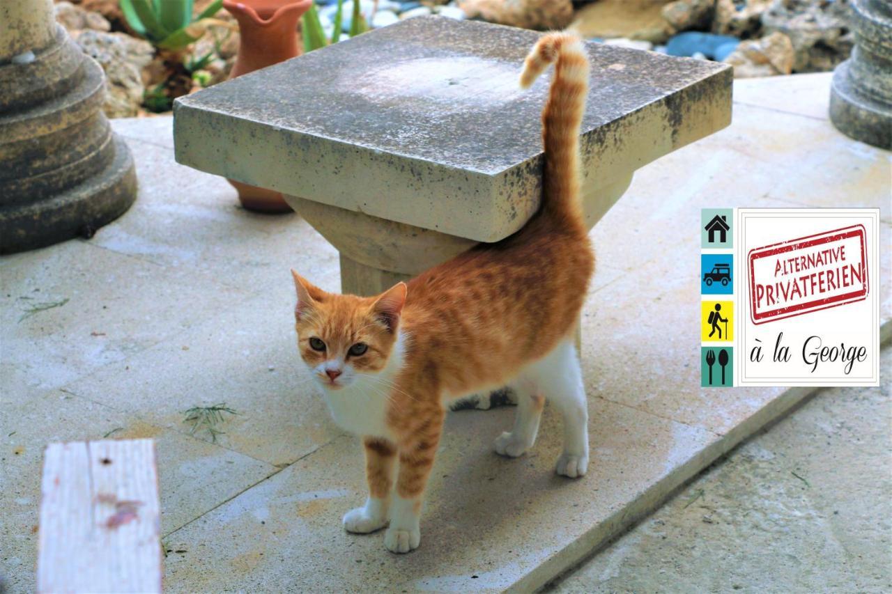Isminis Petroktisto Holidays Stonehouse Palechori Exterior photo